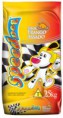 /album/nossos-produtos/speeddog-jpg/